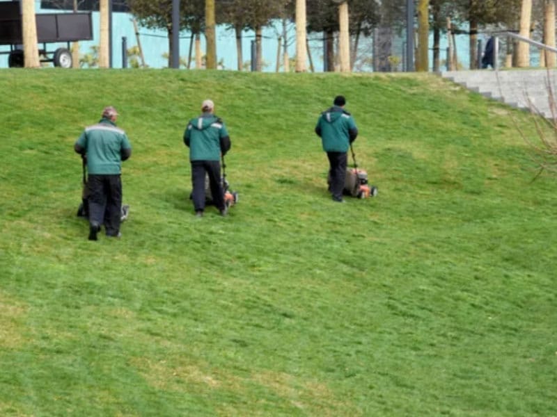 3 Commercial landscapers mowing a lawn