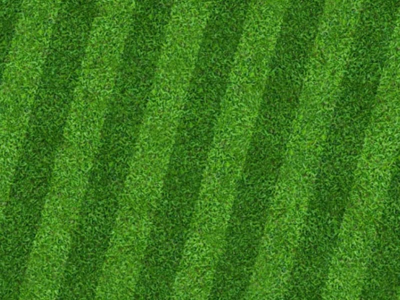 A close up of Football field type of mowing on a lawn