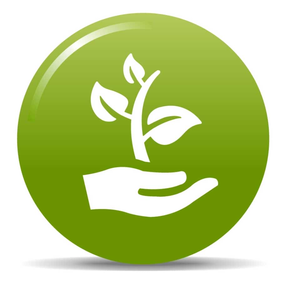 A green hand holding a plant icon on a white background.