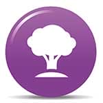 A purple button with a tree on it.