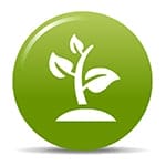 A green plant icon on a white background.