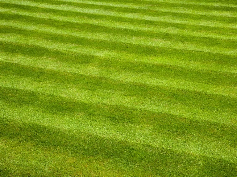 A green lawn with varying mowing patterns