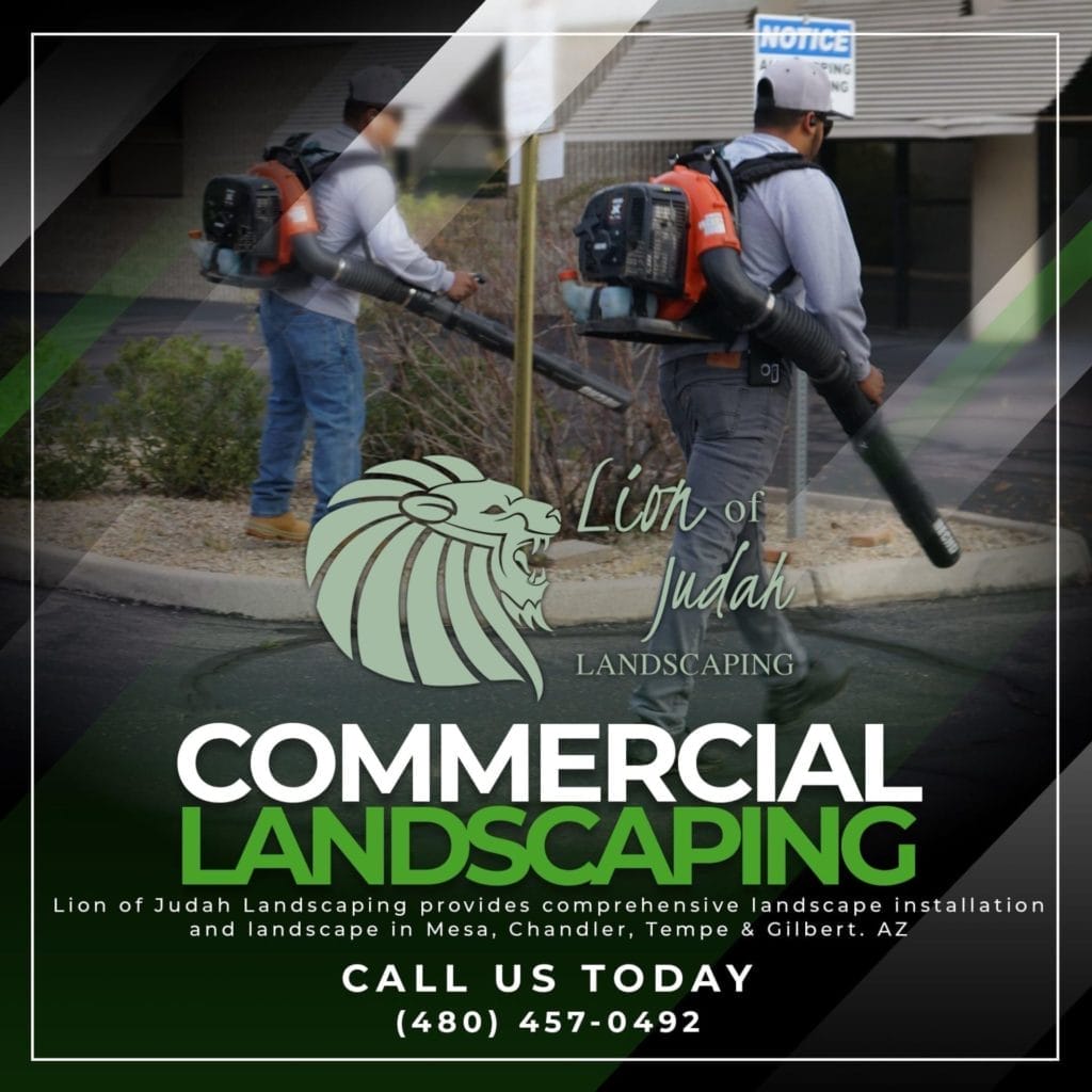 A flyer for commercial landscaping.